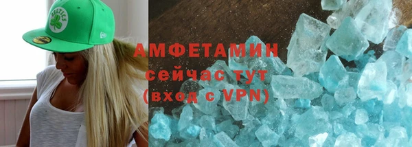 шишки Заволжье