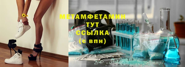 шишки Заволжье