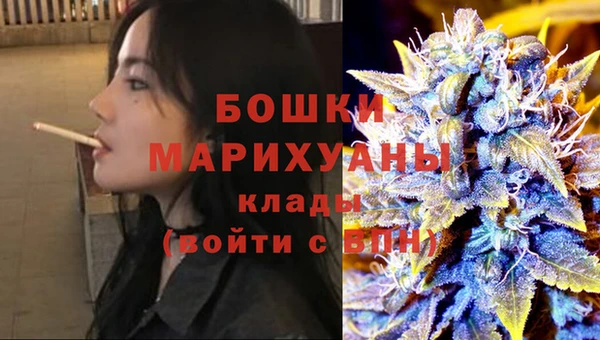 шишки Заволжье