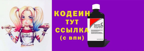 шишки Заволжье