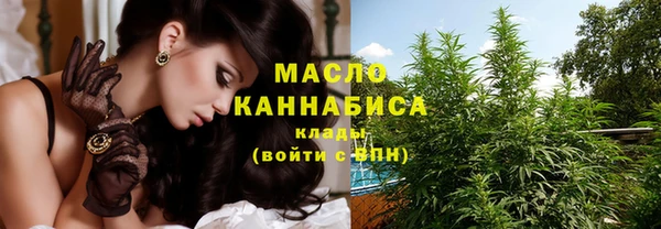 шишки Заволжье