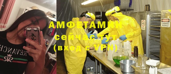 шишки Заволжье