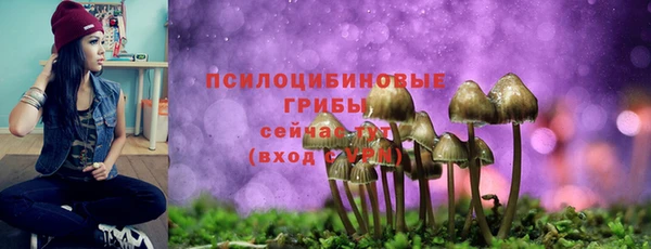 МДПВ Воткинск