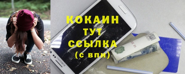 шишки Заволжье