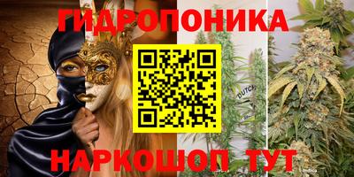 бошки Брянск