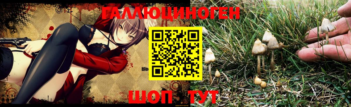 Галлюциногенные грибы GOLDEN TEACHER Заринск